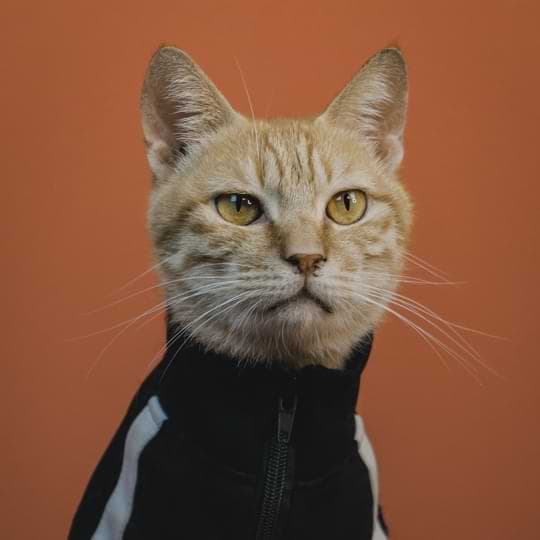 Six Minutes of Neuroscience That Actually Work